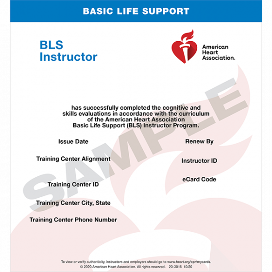American heart association 2025 cpr renewal